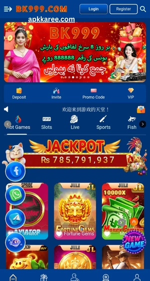 Register and login in bk999 game.