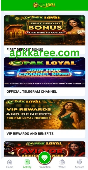 Bonuses and Promotion in Pak Loyal Game